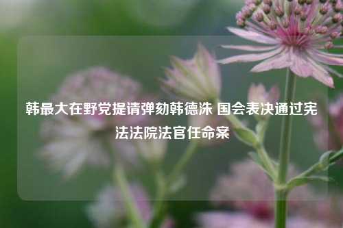 韩最大在野党提请弹劾韩德洙 国会表决通过宪法法院法官任命案