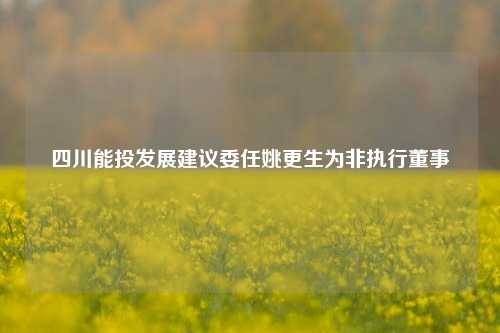 四川能投发展建议委任姚更生为非执行董事