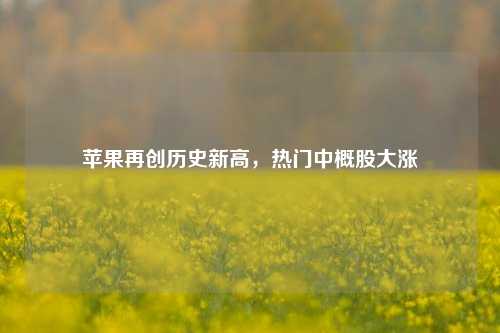 苹果再创历史新高，热门中概股大涨