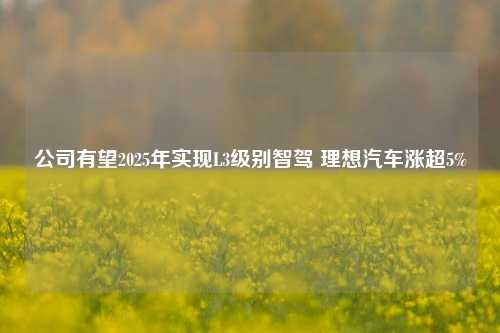 公司有望2025年实现L3级别智驾 理想汽车涨超5%