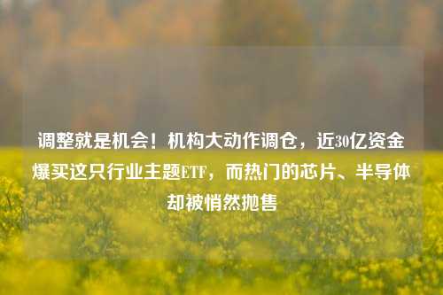 调整就是机会！机构大动作调仓，近30亿资金爆买这只行业主题ETF，而热门的芯片、半导体却被悄然抛售