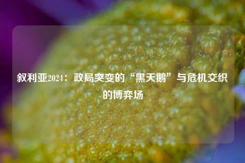 叙利亚2024：政局突变的“黑天鹅”与危机交织的博弈场