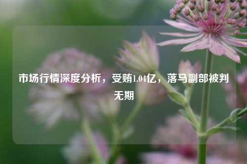 市场行情深度分析，受贿1.04亿，落马副部被判无期