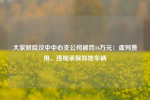 大家财险汉中中心支公司被罚16万元：虚列费用、违规承保异地车辆