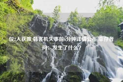 仅2人获救 韩客机失事前6分钟详情公布 幸存者问：发生了什么？