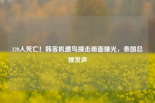 120人死亡！韩客机遭鸟撞击画面曝光，泰国总理发声