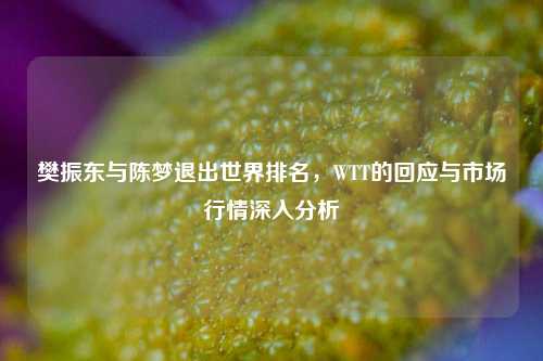 樊振东与陈梦退出世界排名，WTT的回应与市场行情深入分析