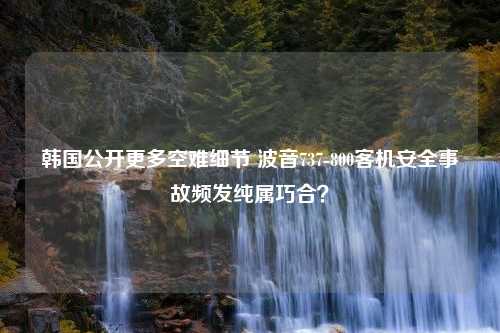 韩国公开更多空难细节 波音737-800客机安全事故频发纯属巧合？