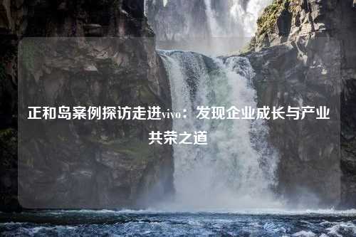 正和岛案例探访走进vivo：发现企业成长与产业共荣之道