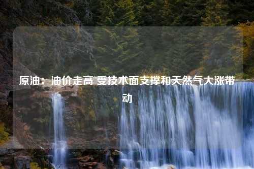 原油：油价走高 受技术面支撑和天然气大涨带动