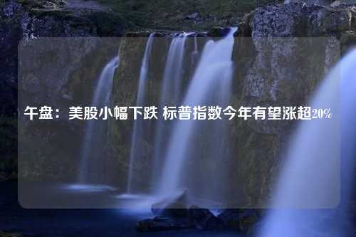 午盘：美股小幅下跌 标普指数今年有望涨超20%