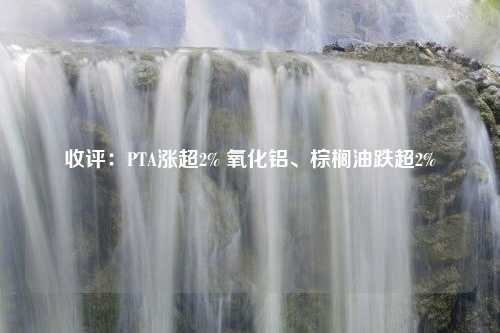 收评：PTA涨超2% 氧化铝、棕榈油跌超2%