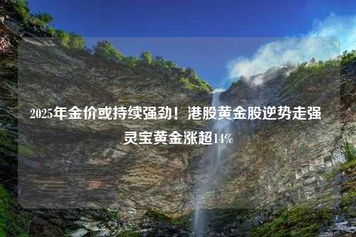 2025年金价或持续强劲！港股黄金股逆势走强 灵宝黄金涨超14%