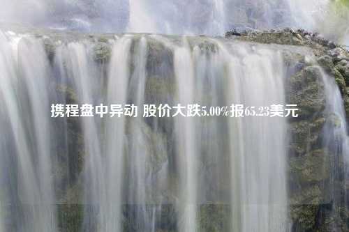 携程盘中异动 股价大跌5.00%报65.23美元