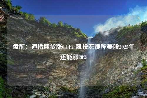 盘前：道指期货涨0.14% 凯投宏观称美股2025年还能涨20%