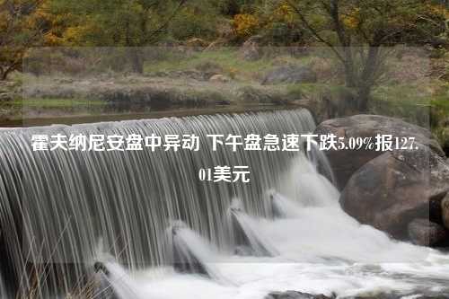 霍夫纳尼安盘中异动 下午盘急速下跌5.09%报127.01美元