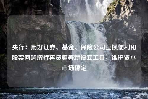 央行：用好证券、基金、保险公司互换便利和股票回购增持再贷款等新设立工具，维护资本市场稳定