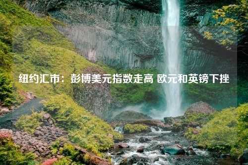 纽约汇市：彭博美元指数走高 欧元和英镑下挫