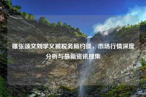 曝张颂文刘学义被税务局约谈，市场行情深度分析与最新资讯搜集