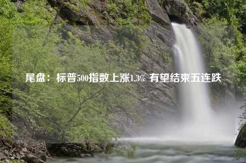 尾盘：标普500指数上涨1.3% 有望结束五连跌