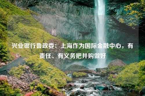 兴业银行鲁政委：上海作为国际金融中心，有责任、有义务把并购做好