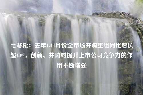 毛寒松：去年1-11月份全市场并购重组同比增长超40%，创新、并购对提升上市公司竞争力的作用不断增强