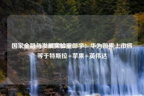 国家金融与发展实验室邵宇：华为如果上市将等于特斯拉+苹果+英伟达