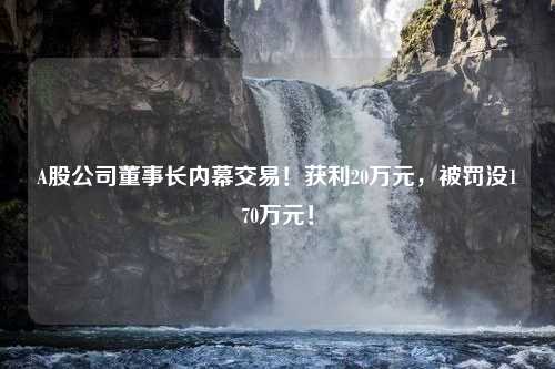 A股公司董事长内幕交易！获利20万元，被罚没170万元！