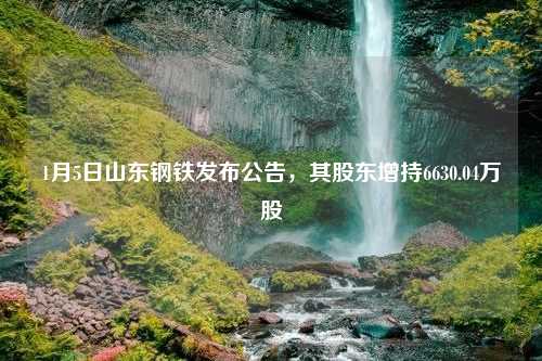 1月5日山东钢铁发布公告，其股东增持6630.04万股