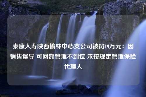 泰康人寿陕西榆林中心支公司被罚19万元：因销售误导 可回溯管理不到位 未按规定管理保险代理人