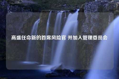 高盛任命新的首席风险官 并加入管理委员会