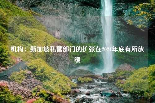 机构：新加坡私营部门的扩张在2024年底有所放缓