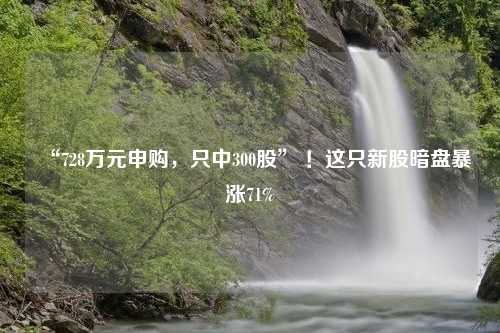 “728万元申购，只中300股” ！这只新股暗盘暴涨71%