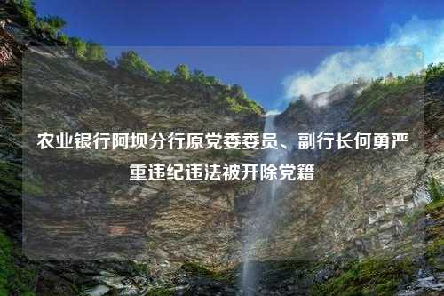 农业银行阿坝分行原党委委员、副行长何勇严重违纪违法被开除党籍