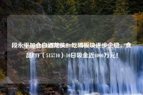 段永平加仓白酒龙头！吃喝板块逐步企稳，食品ETF（515710）10日吸金近4000万元！