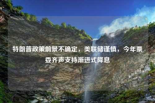 特朗普政策前景不确定，美联储谨慎，今年票委齐声支持渐进式降息