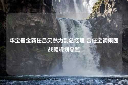 华宝基金新任吕笑然为副总经理 曾任宝钢集团战略规划总监