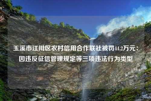 玉溪市江川区农村信用合作联社被罚44.2万元：因违反征信管理规定等三项违法行为类型