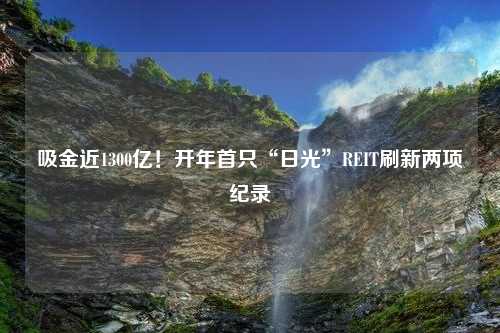 吸金近1300亿！开年首只“日光”REIT刷新两项纪录