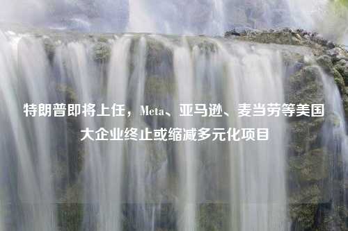 特朗普即将上任，Meta、亚马逊、麦当劳等美国大企业终止或缩减多元化项目