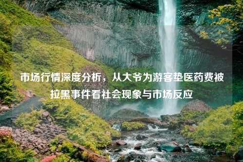 市场行情深度分析，从大爷为游客垫医药费被拉黑事件看社会现象与市场反应