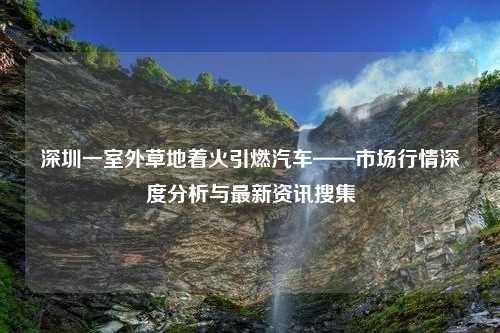 深圳一室外草地着火引燃汽车——市场行情深度分析与最新资讯搜集