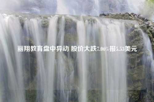 丽翔教育盘中异动 股价大跌7.06%报5.53美元