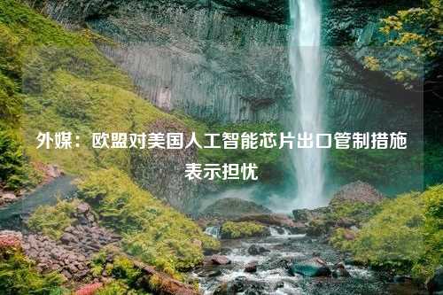 外媒：欧盟对美国人工智能芯片出口管制措施表示担忧