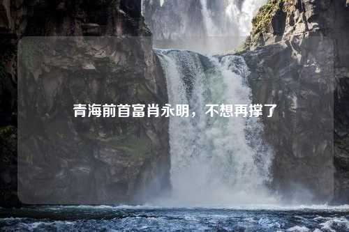 青海前首富肖永明，不想再撑了