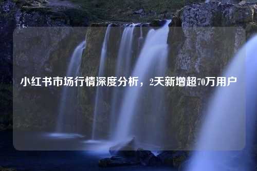 小红书市场行情深度分析，2天新增超70万用户