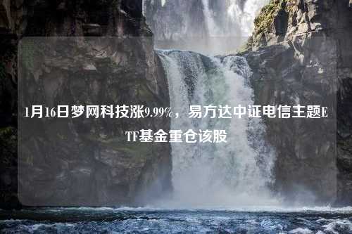 1月16日梦网科技涨9.99%，易方达中证电信主题ETF基金重仓该股