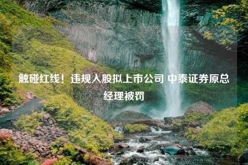 触碰红线！违规入股拟上市公司 中泰证券原总经理被罚