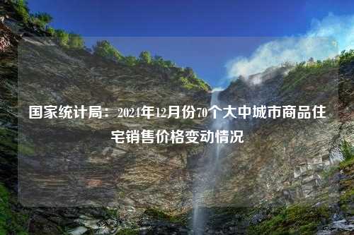 国家统计局：2024年12月份70个大中城市商品住宅销售价格变动情况