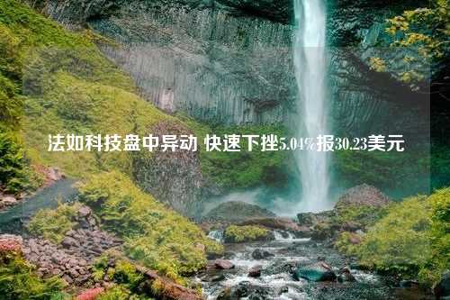 法如科技盘中异动 快速下挫5.04%报30.23美元